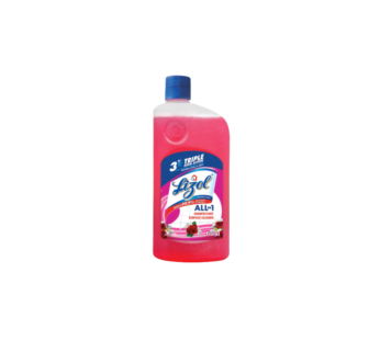 Lizol Disinfectant Surface & Floor Cleaner Liquid, Floral – 1l